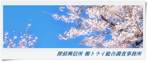 トライ総合調査事務所 大阪府 堺市の風景写真