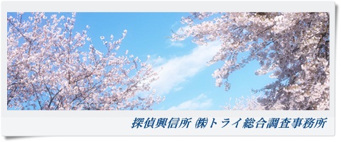 トライ総合調査事務所 大阪府 大阪市の風景写真