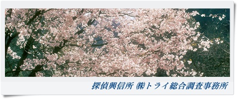 トライ総合調査事務所 大阪府 寝屋川市の風景写真