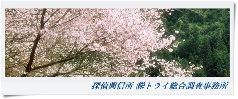 トライ総合調査事務所 大阪府 八尾市の風景写真