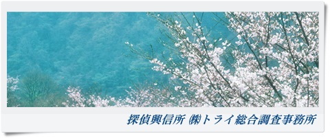 トライ総合調査事務所 大阪府 岸和田市の風景写真