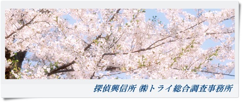トライ総合調査事務所 大阪府 摂津市の風景写真