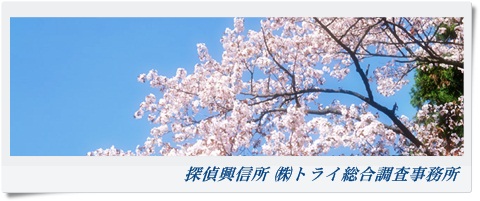 トライ総合調査事務所 大阪府 大東市の風景写真