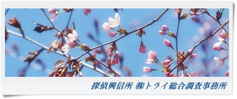 トライ総合調査事務所 大阪府 富田林市の風景写真