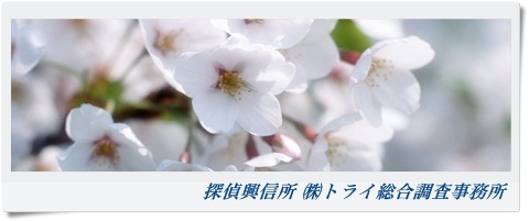 トライ総合調査事務所 大阪府 松原市の風景写真