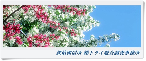 トライ総合調査事務所 大阪府 泉南市の風景写真