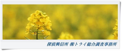トライ総合調査事務所 関西 三重県の風景写真