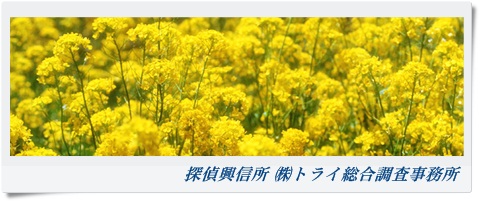 トライ総合調査事務所 関西 京都府の風景写真