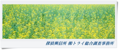 トライ総合調査事務所 兵庫県 明石市の風景写真