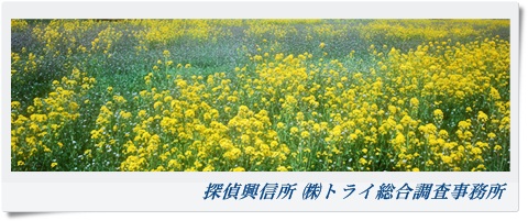 トライ総合調査事務所 兵庫県 加古川市の風景写真