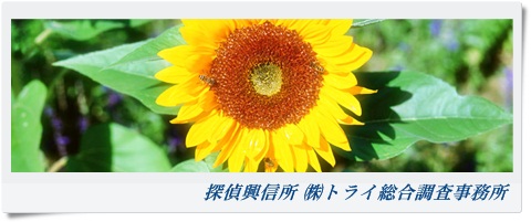 トライ総合調査事務所 関西 滋賀県の風景写真