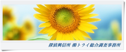 トライ総合調査事務所 関西 奈良県の風景写真