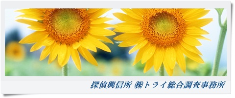 トライ総合調査事務所 関西 福井県の風景写真